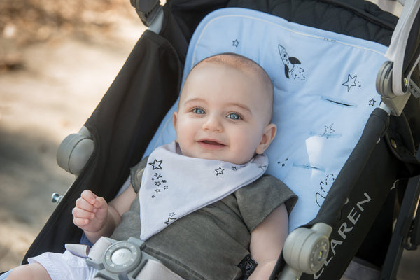 Stylish Bandana bib